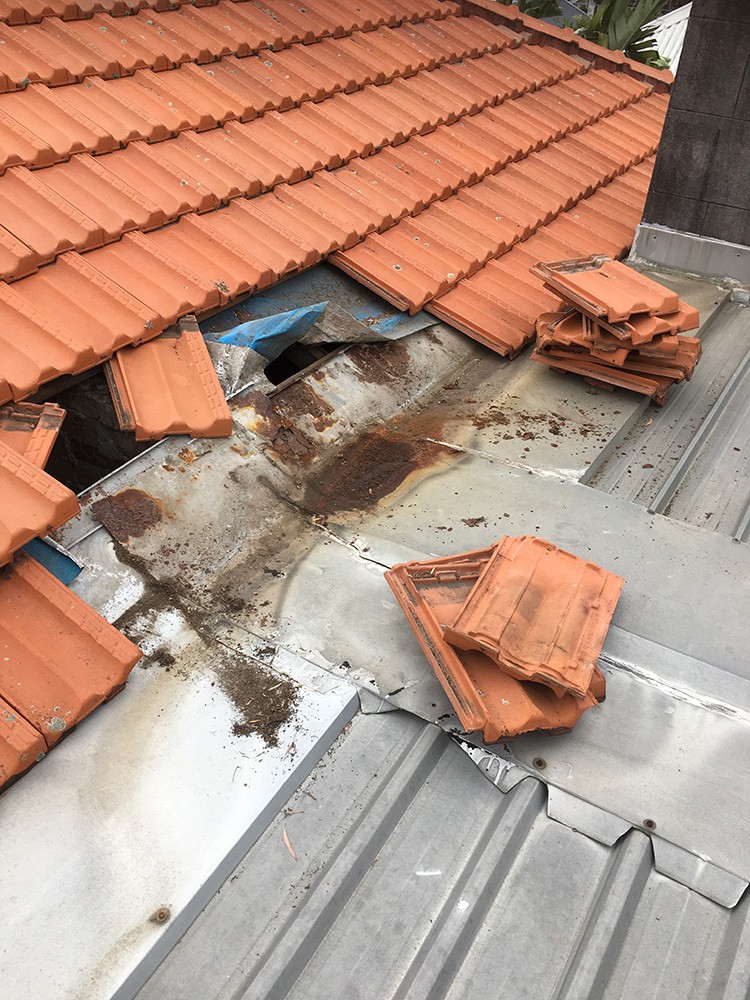 Emergency Roof Repairs in West Hoxton: What to Do When a Leak Hits